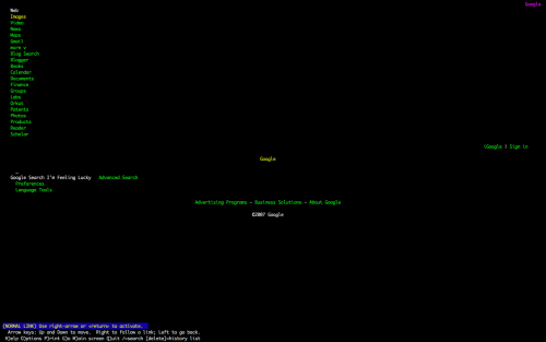 capture d'écran de la page d'accueil de Google sur le navigateur Lynx
