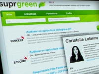 Suprgreen, jobs positifs