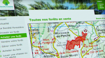 Assistance à maîtrise d'ouvrage pour la création de forestiere-cdc.fr