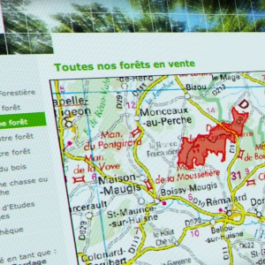 Assistance à maîtrise d'ouvrage pour la création de forestiere-cdc.fr