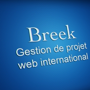 Accompagnement méthodologique gestion de projet web international