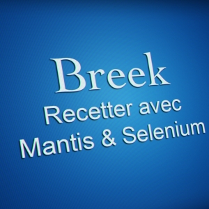 Formation "recetter avec Mantis & Selenium"