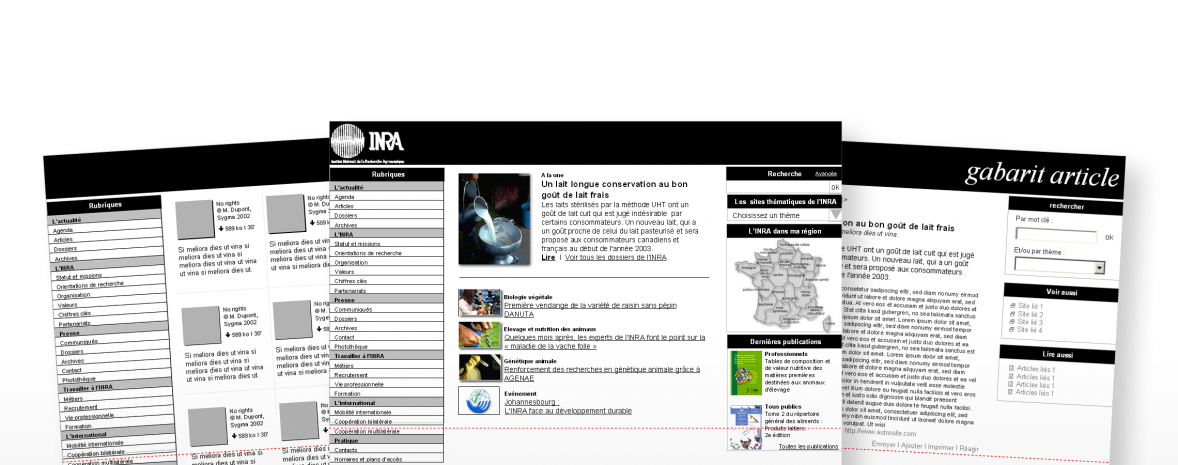 Audit de l'image institutionnelle web de l'INRA : tables ronds, besoin, faisabilité...