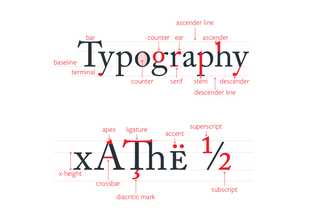 AMAO / Gestion de projet : Comprendre la typographie web